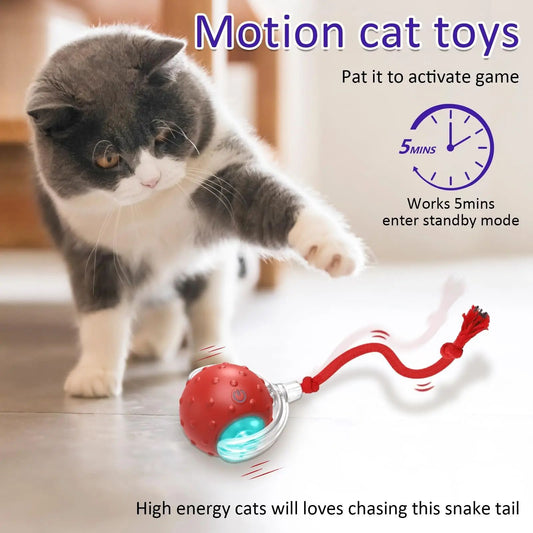 Interactive Cat Rolling Ball