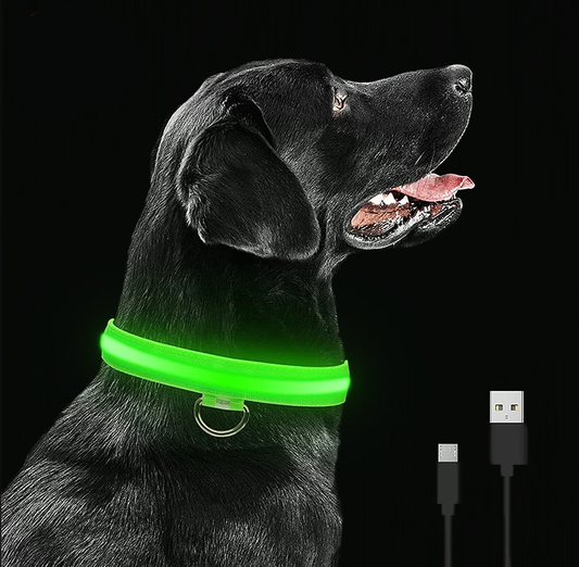 LED Glowing Dog Collar (Rechargeable)